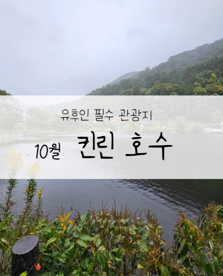  유후인 필수 관광지 ️"킨린호수" 10월 물안개 텐소신사
