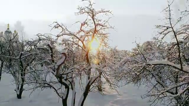  미술심리상담사1급자격증따기 , 미술심리상담지도사 자격증 단기간에 학습한 후기 완벽 정리