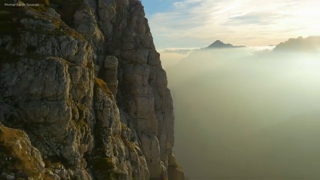  2024 산림기사 , 산림기사 응시자격 독학으로 편하게 준비한 팁