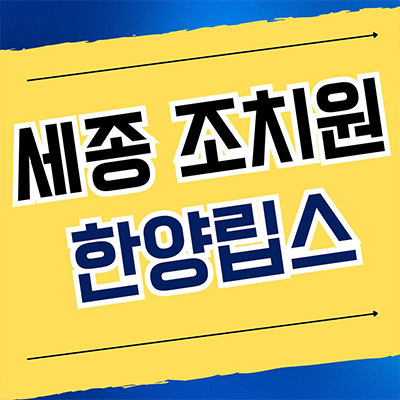  조치원 한양립스 스카이 세종 CTX 민간임대아파트 오송역 10년전세 신축 공급소식