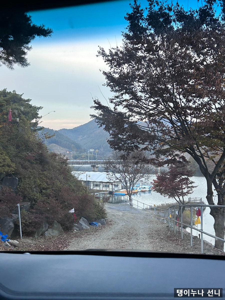 고목정 사진 5