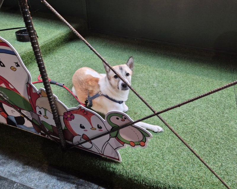 사진 5