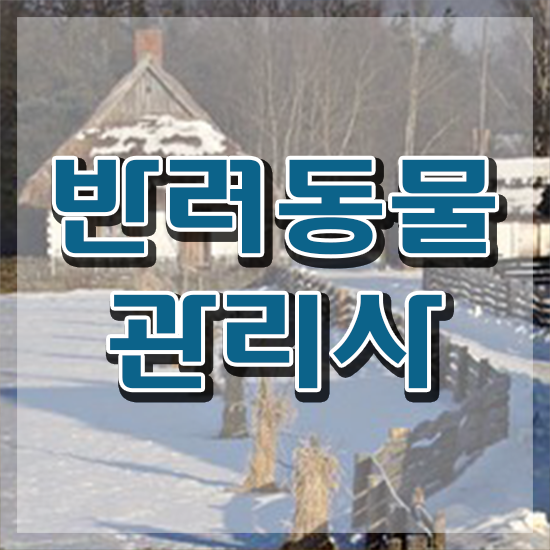  반려동물식품관리사 , 반려동물관리사 자격증 온라인으로 쉽게 취득한 과정 콕콕 짚어드립니다