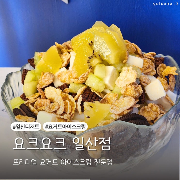  일산디저트 요크요크 일산점