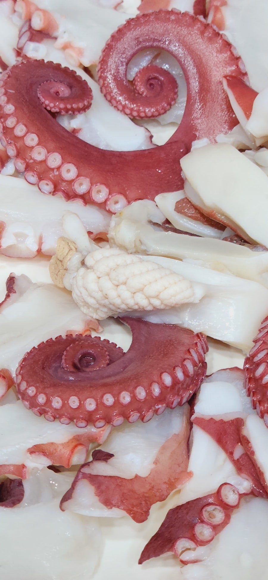 후랭크치킨 사진 4