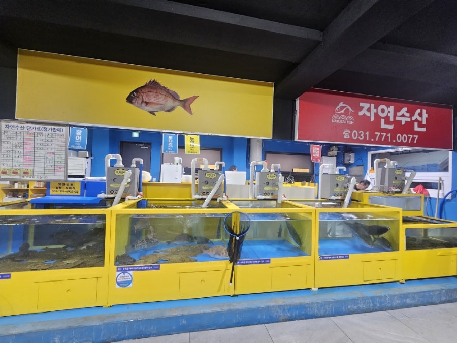 자연회수산 사진 4
