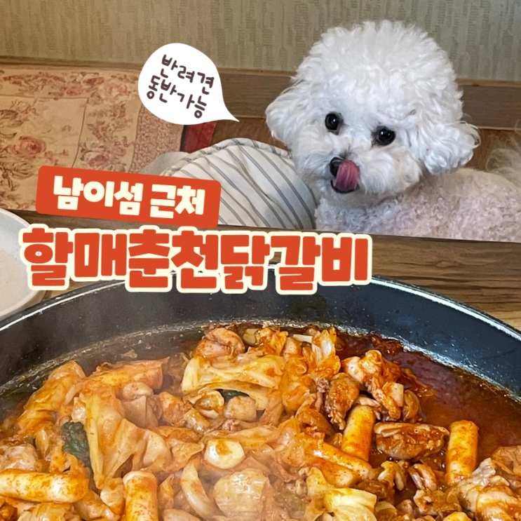  가평 남이섬근처 애견동반식당 할매춘천닭갈비 내돈내산