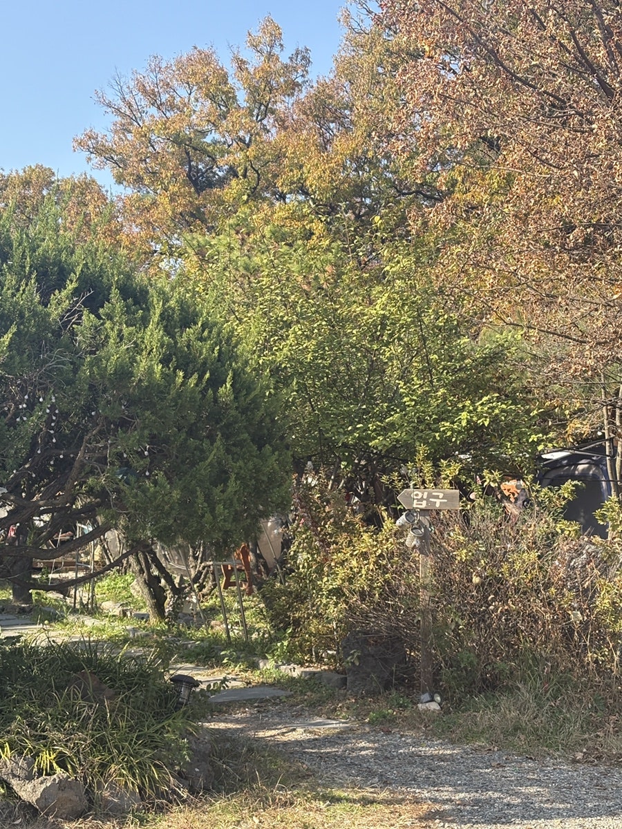 산골항아리바베큐 원당점 사진 2