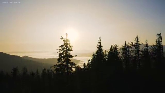 항공산업기사 실기 항공산업기사 시험응시자격 온라인 과정으로 단기간에 준비한 과정