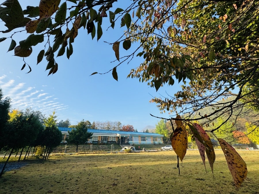 오손도손캠핑장 사진 3