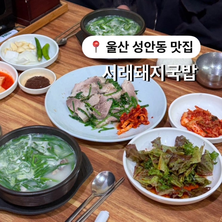  울산 성안동 맛집 깔끔한 서래돼지국밥
