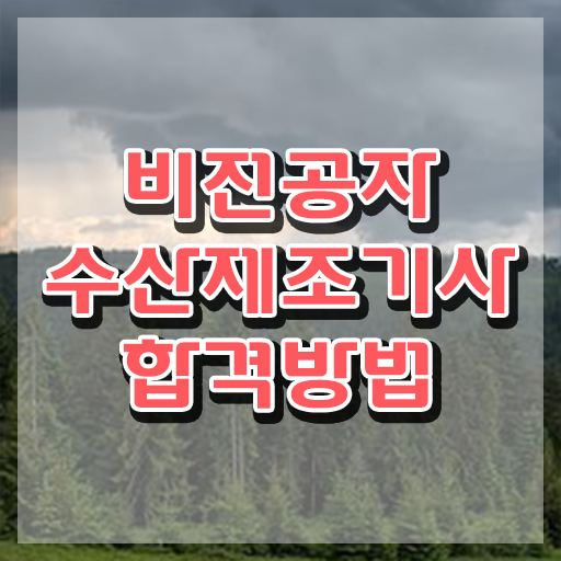  수산제조기사 응시자격 온라인 수업으로 쉽고 빠르게 성공한 후기