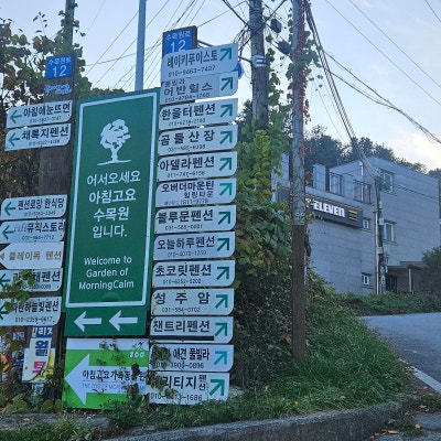사진 8