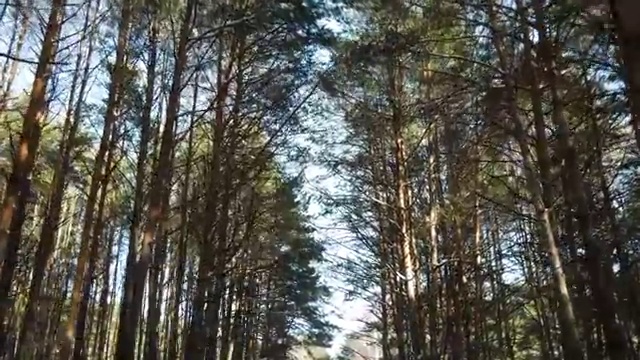  노인여가지도사 , 노인통합관리지도사 자격증 온라인 교육으로 합격한 비법 소개합니다