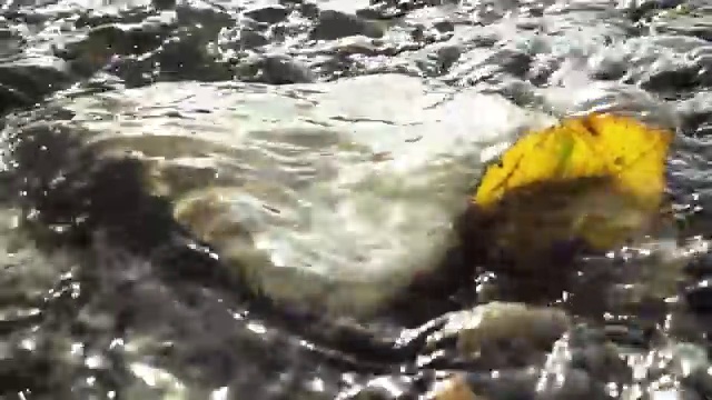  경기도 병원동행매니저 교육 병원동행매니저자격증 취득한 과정 및 채용전망