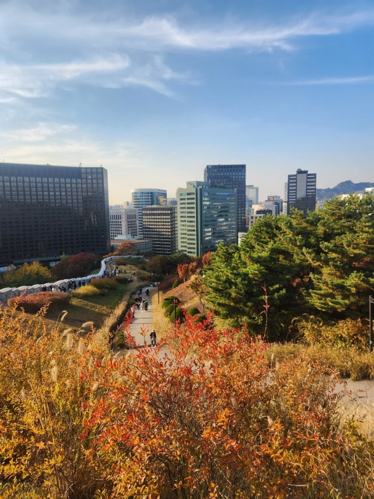  [MY/DIARY] 2024.11.04.월 - 2024.11. 10.일 <월급은 내 통장을 그저 스칠 뿐...>