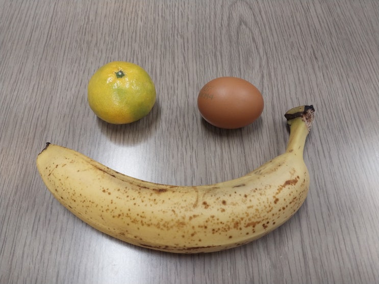  식비 절약 직장인 점심 도시락 싸기 도시락 통 메뉴 가방 준비 전략 추천