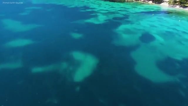  부동산상가 매매수수료 , 부동산자산관리전문가 인강으로 간편하게 부동산자산관리사 취득 정보 공유드려요
