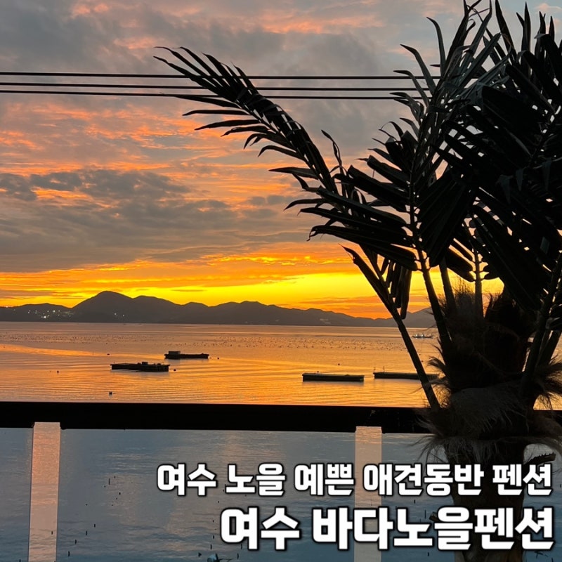 사진 7