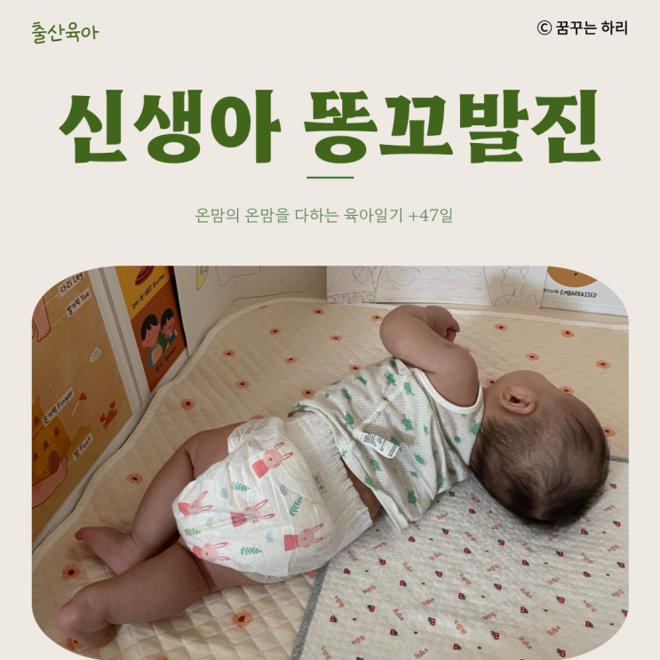  온맘의 온맘을 다하는 육아일기 D+47일 신생아 7주차 수유텀 수면시간 신생아똥꼬발진 아기똥꼬발진 똥꼬빨개짐 모유수유주의사항
