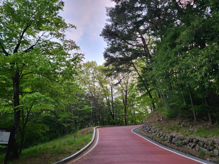  SFTI 사주 유형별 트라우마 극복 가이드. 성향에 맞는 치유의 길
