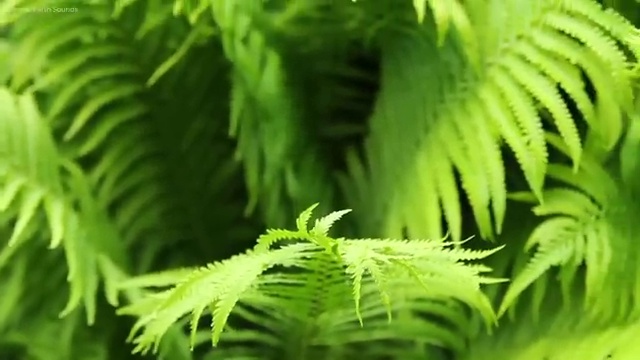  산림기사채용 , 산림기사 응시자격 온라인으로 빠르게 성공한 팁