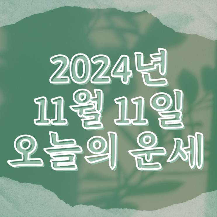  2024년 11월 11일 운세 오늘의운세 띠별운세