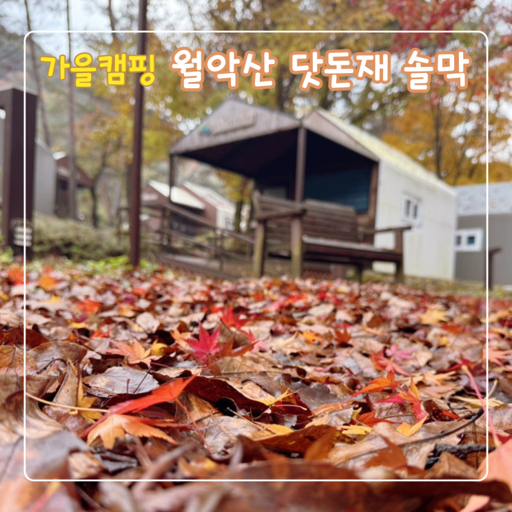  월악산닷돈재야영장 가을풍경 및 솔막20번 이용 후기