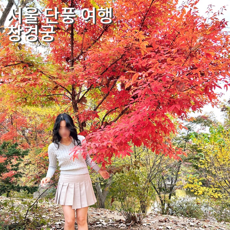  창경궁 입장료 물품보관함 서울 단풍 여행 4대궁 휴무일