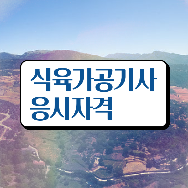  식육가공기사 응시조건 인강만 듣고 편하게 준비한 후기