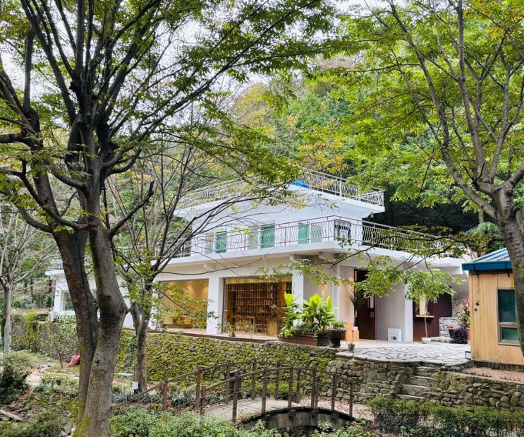  [내돈내먹] 창원 마산 내서 카페 숲뷰 북카페 ‘세시라기’
