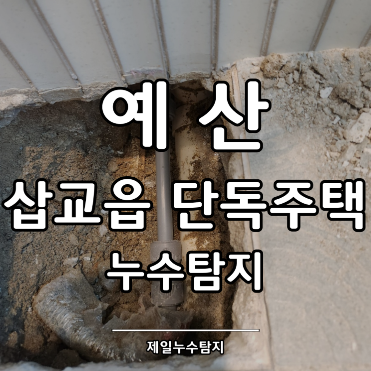  예산누수탐지 삽교읍 단독주택