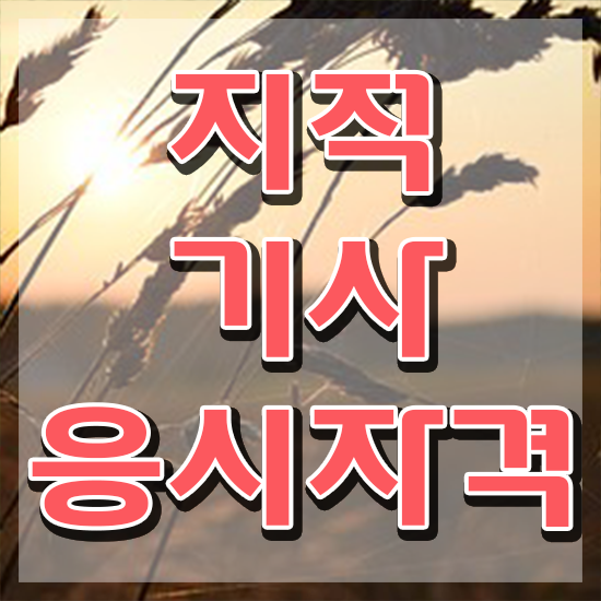  지적산업기사 지적기사 응시자격 독학으로 빠르게 준비한 노하우