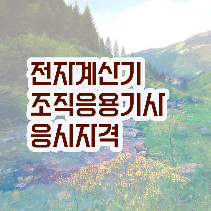  전자계산기조직응용기사 응시조건 전자계산기조직응용기사 응시자격 집에서 온라인으로 간편하게 성공한 팁