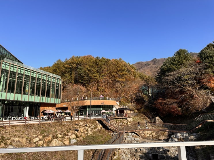  경기도 놀자숲 테마파크, 초등 아이와 가을 나들이