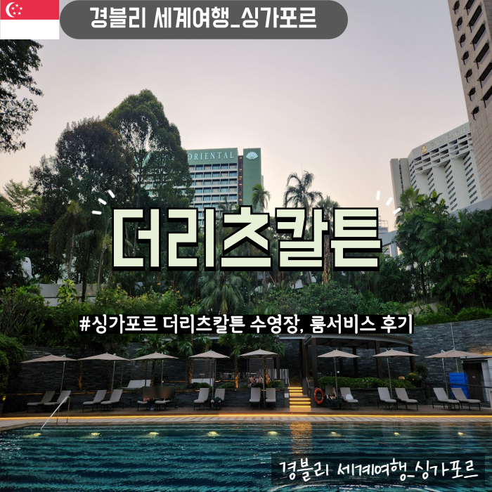  싱가포르 고급 호텔 추천 수영장, 룸서비스 후기 '더리츠칼튼 밀레니아 싱가포르'