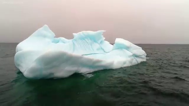  대학병원코디네이터 , 병원코디네이터 자격증 직장인도 쉽게 합격한 전략 및 무료수강 혜택