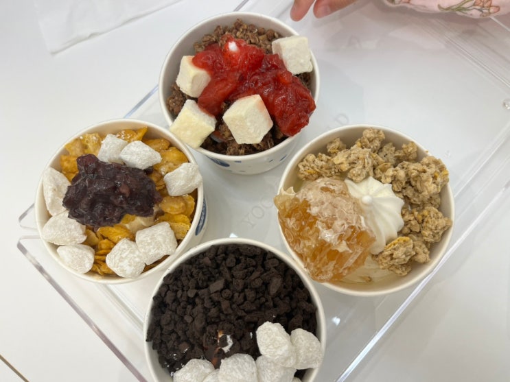  요거트월드 대전 관평점: 4가지 맛으로 즐기는 요월팩 싱글컵 먹은 후기