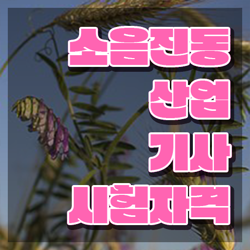  소음진동산업기사 시험응시자격 온라인으로 간편하게 완료한 노하우