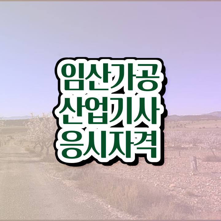  임산가공산업기사 일정 임산가공산업기사 응시조건 인강만 듣고 편하게 완료한 과정