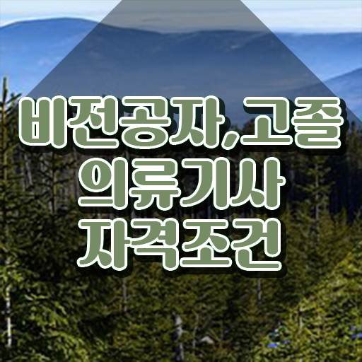  의류기사 시험자격 온라인 수업으로 편하게 준비한 노하우