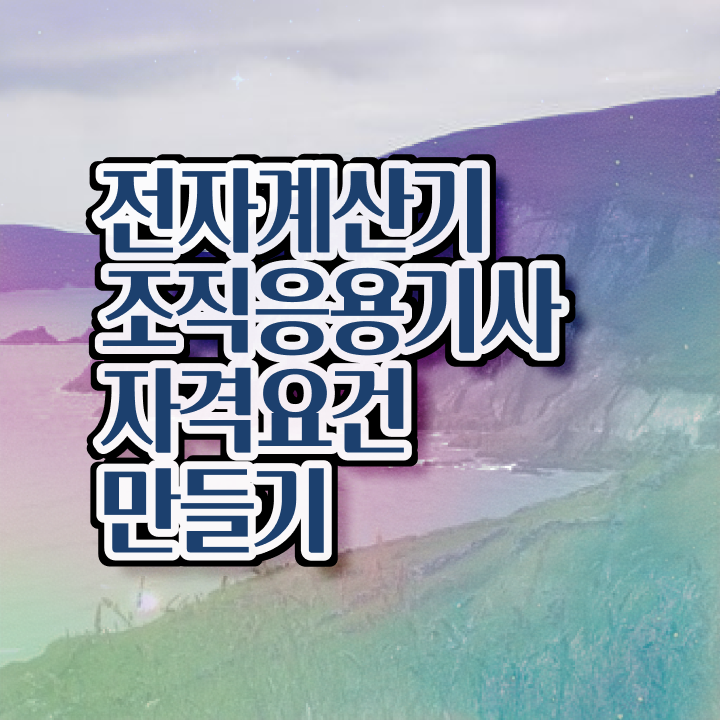 전자계산기조직응용기사 취득자격 인강만 듣고 빠르게 준비한 비법