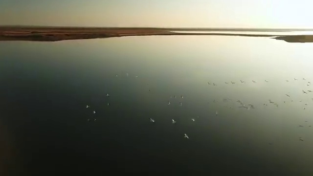  대구사회복지공무원 , 사회복지사2급 직장인도 학점은행제 활용하여 빠르게