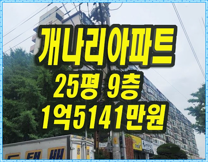  개나리맨션 남구 대명동 개나리 아파트 경매