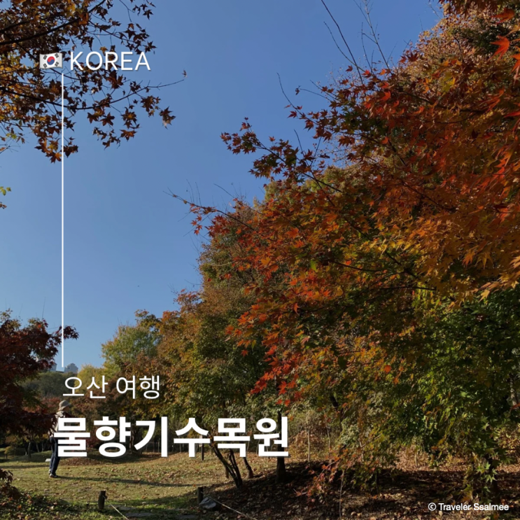  서울 근교 가을 단풍 명소 물향기 수목원 실시간 단풍 현황 (주차, 입장료)