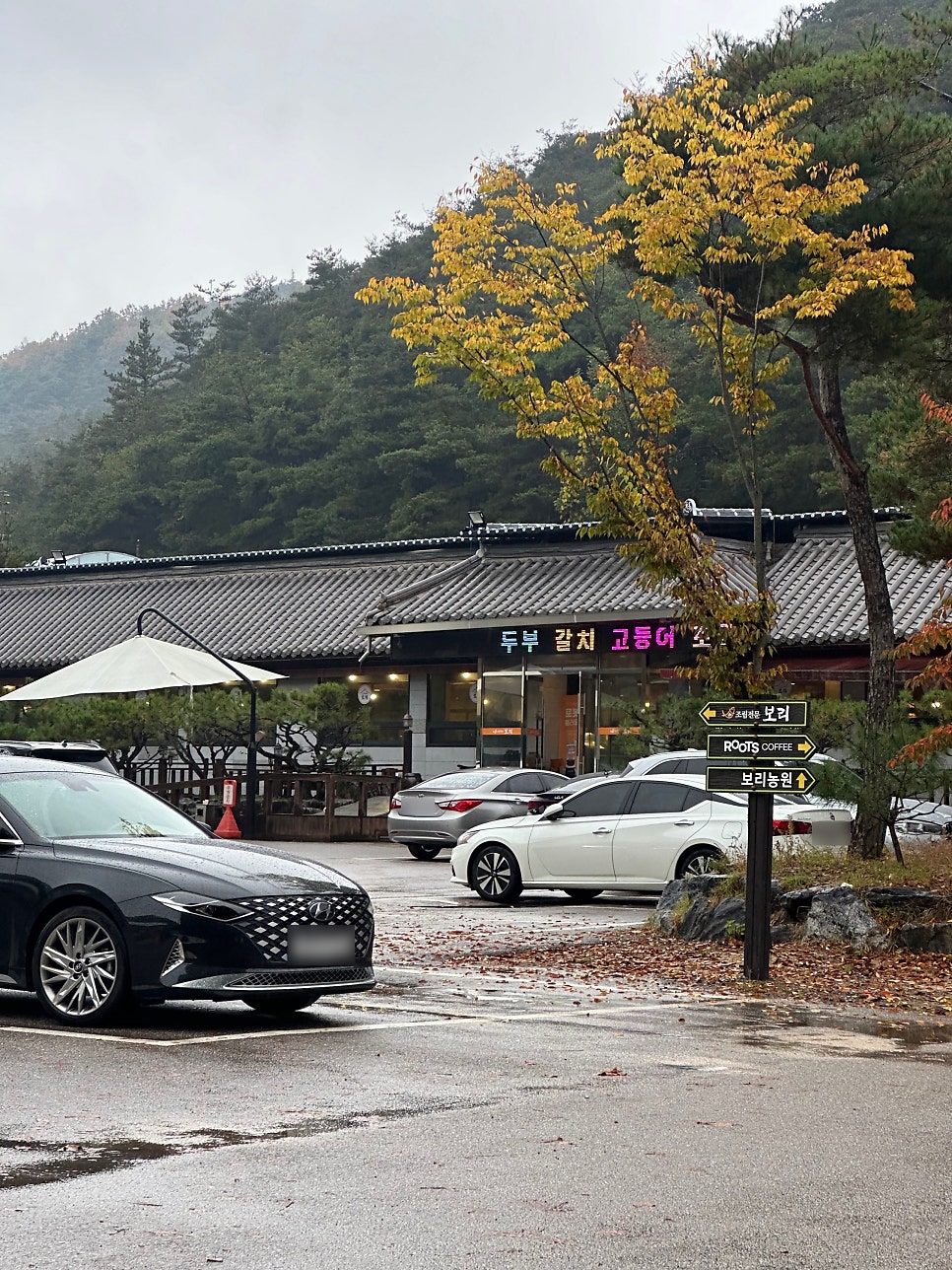 비룡농원 사진 5
