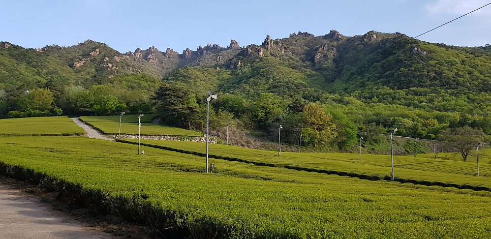 월출산방 사진 3