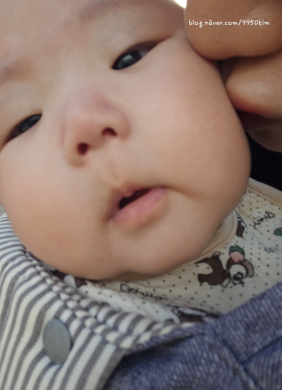 용전찐빵만두 사진 4