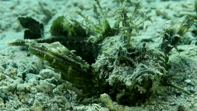  서산 사회복지직 공무원 하는일 사회복지사2급 고졸자도 학점은행제 인강으로 빠르게