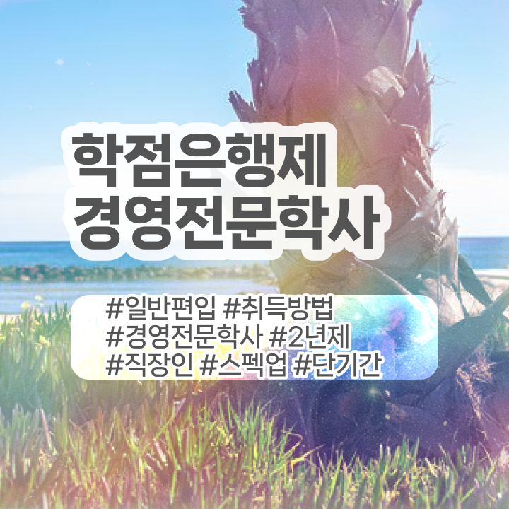  학점은행제 경영학사 과목 , 경영학 학위 관련학과 졸업장, 경력없어도 최단기간 준비하는 팁